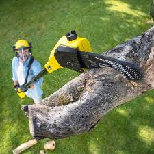 Best Aeration Services  in La Palma, CA